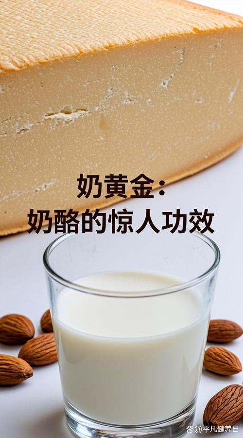 奶酪 浓缩的乳制品精华，当之无愧的“奶黄金”